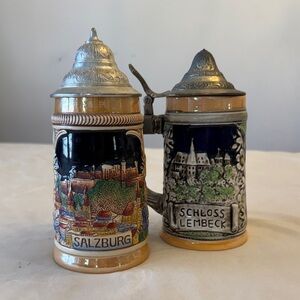 Vintage Colorful Salzburg by King and Schloss Lembeck Beer Steins